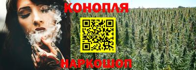 спиды Обь